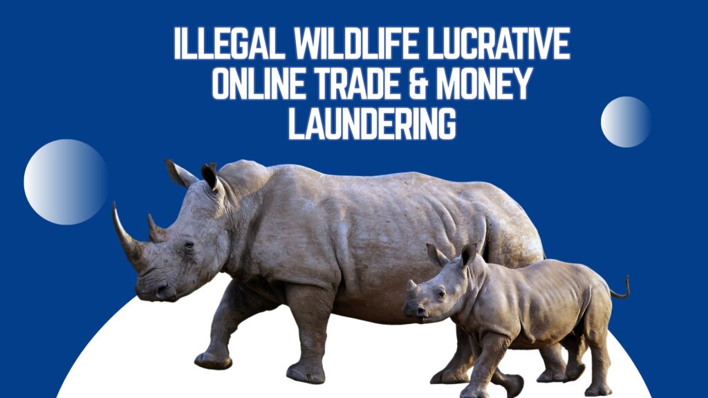 Illegal Wildlife