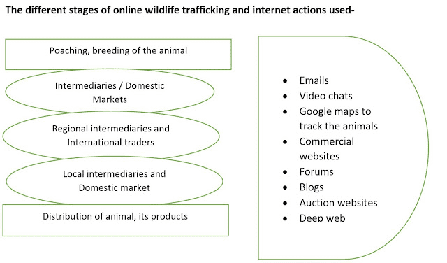 Wildlife Trafficking
